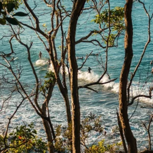 noosanational-park-allawahnoosa